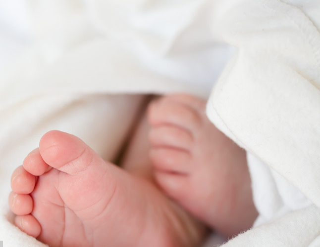 现在只能供卵试管,fsh122只能供卵