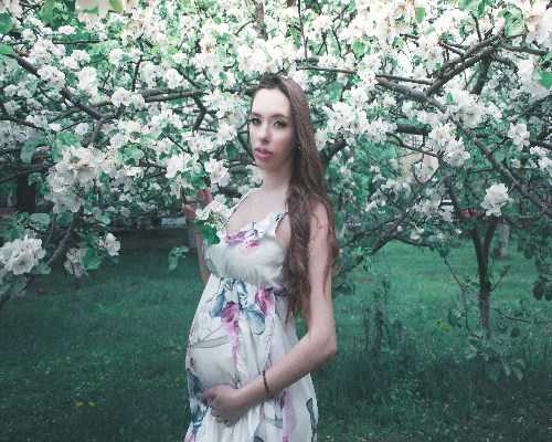 沈阳正规试管机构已公布，2024好评比较多的机构推荐