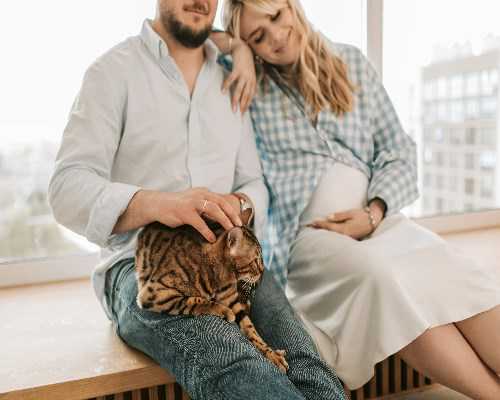 沈阳试管医院双胎成功率？沈阳试管一对龙凤胎多少钱？