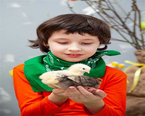 盛京试管移植费用要多少 沈阳盛京试管大概多钱